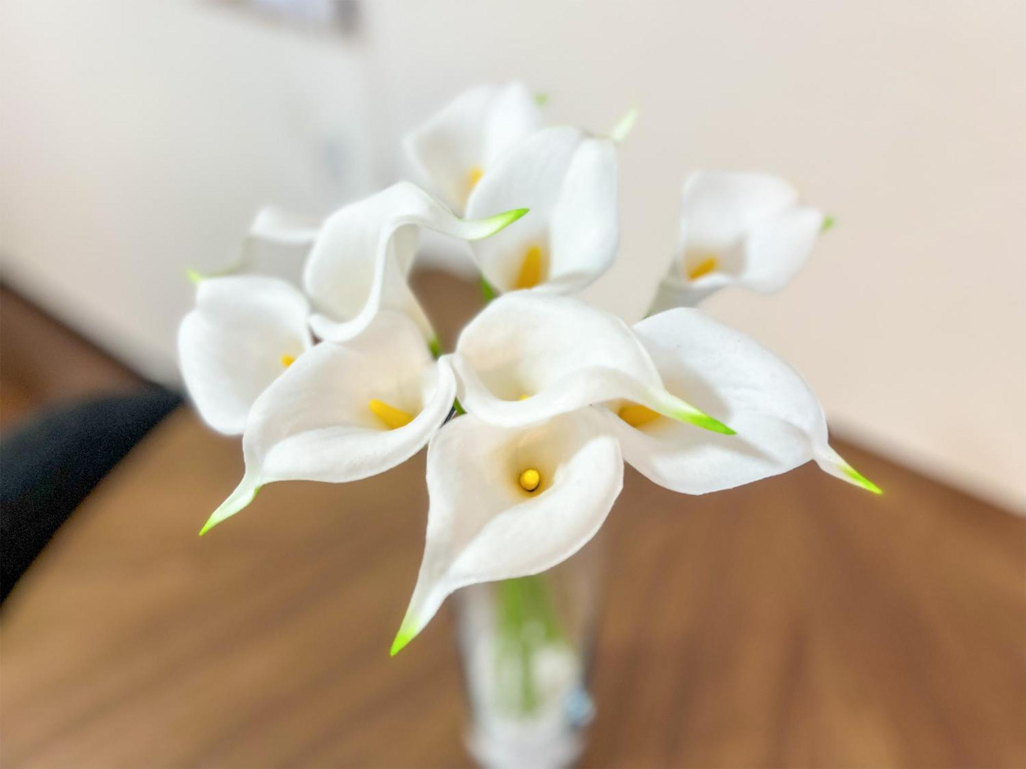 Ouchi Hotel Hatchobori Hiroşima Dış mekan fotoğraf
